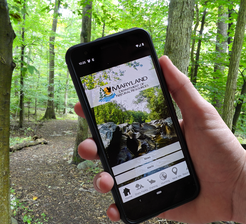 Photo of DNR app on smartphone