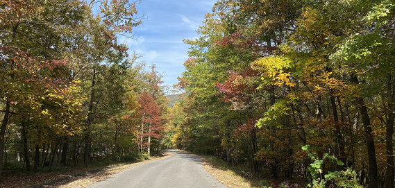 Photo of Greenbrier State Park road with brightly colored fall foliage