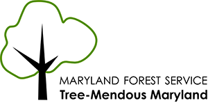 An image with the illustration of a tree and text that states Maryland Forest Service Tree-mendous forest program