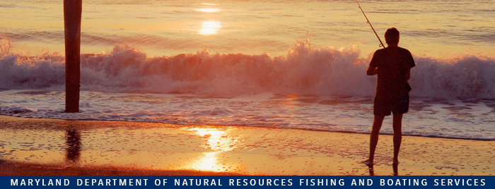 Photo of man fishing on ocean beach