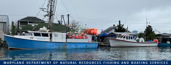 Photo of commercial fishing boats docked in Ocean City