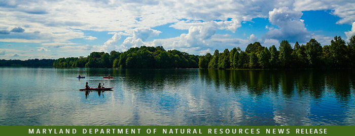 Photo of kayakers paddling across lake