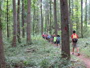 Jr Rangers Hike