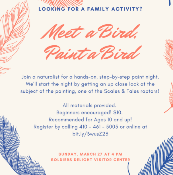 meet a bird