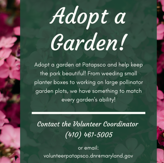 adopt a garden