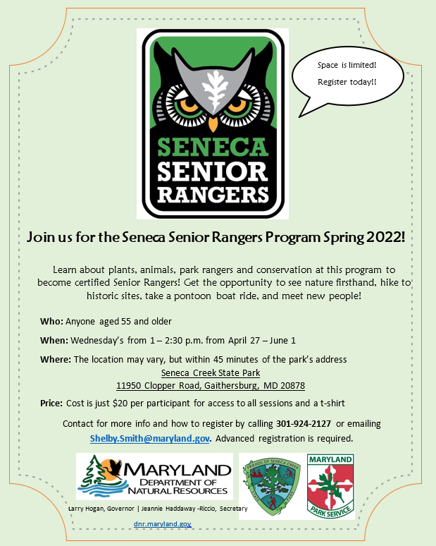 senior rangers flier