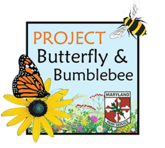 Image of Project Butterfly and Bumblebee icon