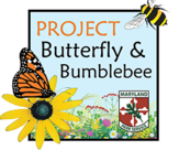 Image of Project Butterfly and Bumblebee icon