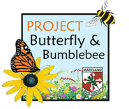 Image of Project Butterfly and Bumblebee icon