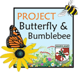 Image of Project Butterfly and Bumblebee icon