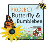 Image of Project Butterfly and Bumblebee icon