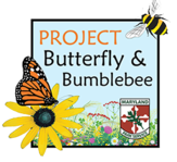 Image of Project Butterfly and Bumblebee icon