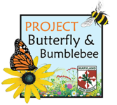 Image of Project Butterfly and Bumblebee icon