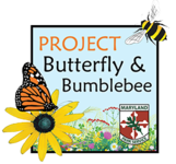 Image of Project Butterfly and Bumblebee icon