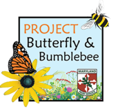 Image of Project Butterfly and Bumblebee icon