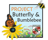 Image of Project Butterfly and Bumblebee icon