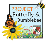 Image of Project Butterfly and Bumblebee icon