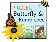 Image of Bumblebee and Butterfly icon