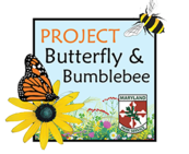 Image of Project Butterfly and Bumblebee icon