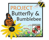 Image of Project Bumblebee and Butterfly icon
