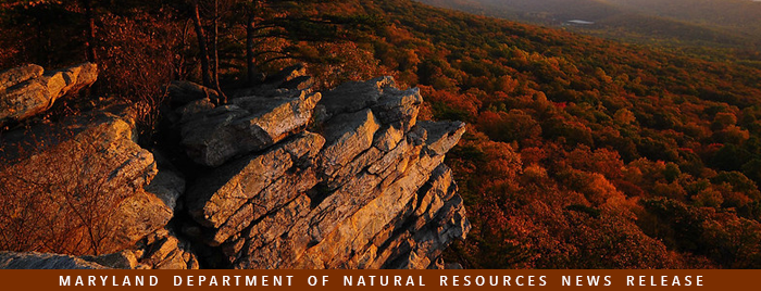 Photo of Annapolis Rock in fall