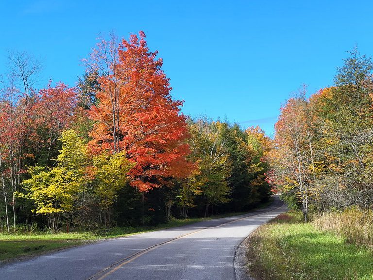 Photo of fall foliage along country road