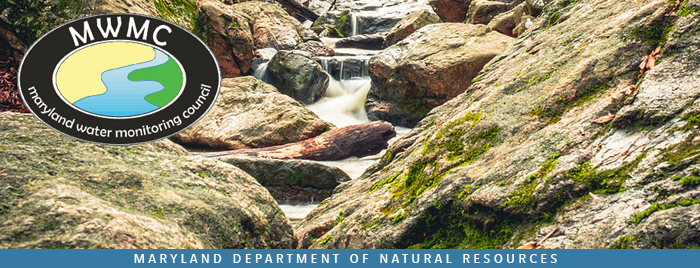 Photo of stream with Water Monitoring Council logo