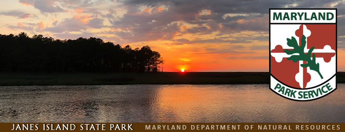 Photo of sunset at Janes Island