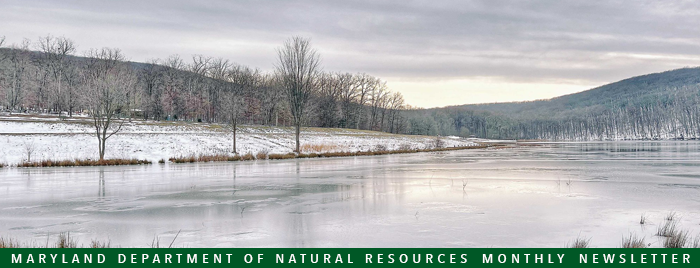 Photo of frozen lake