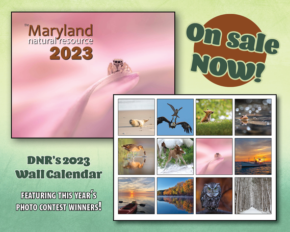 Image promoting DNR's annual wall calendar