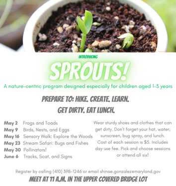 Sprouts at Fair Hill Flier