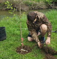 Photo of student planting a tree