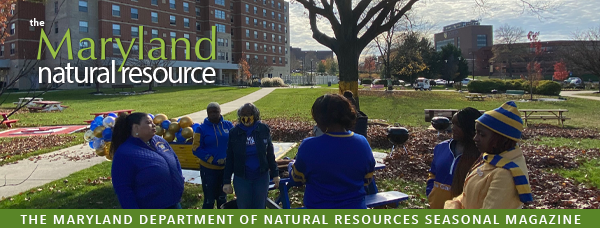 Header image featuring women gathered under a tree