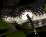 Photo by James Phelps