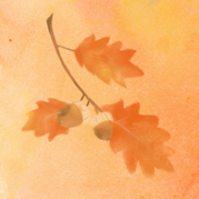 Logo for Fall Foliage Hike