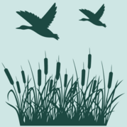Winter Waterfowl Logo