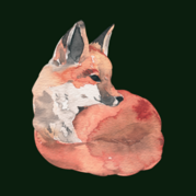 Don't Feed the Foxes Logo