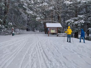 Snow and Skiing at New Germany