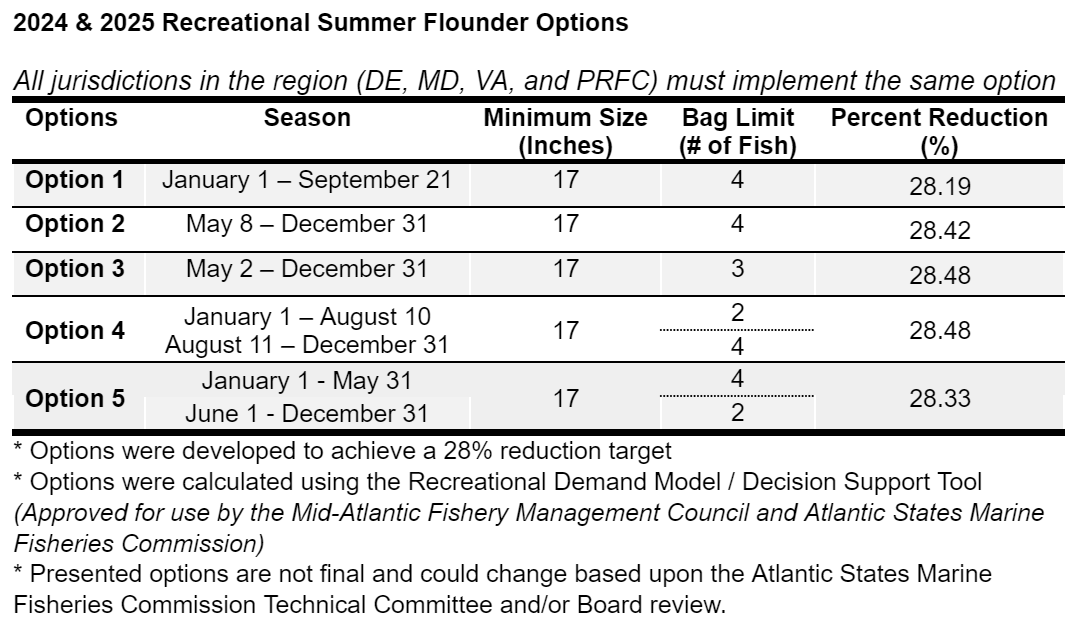 Summer Flounder 2024 2025 Options