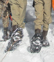 Snowshoeing