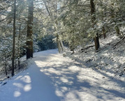 Winter Trail