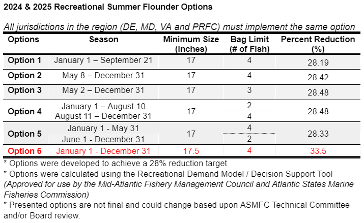 Six summer flounder management options
