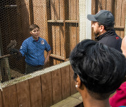 Photo of people viewing an owl at an aviary