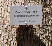 Tree Marker
