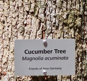Tree Marker