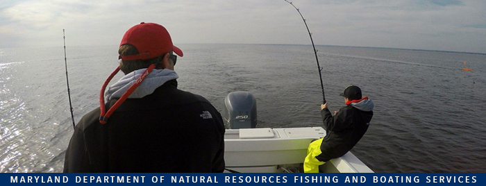 Recreational Fishing from Vessel