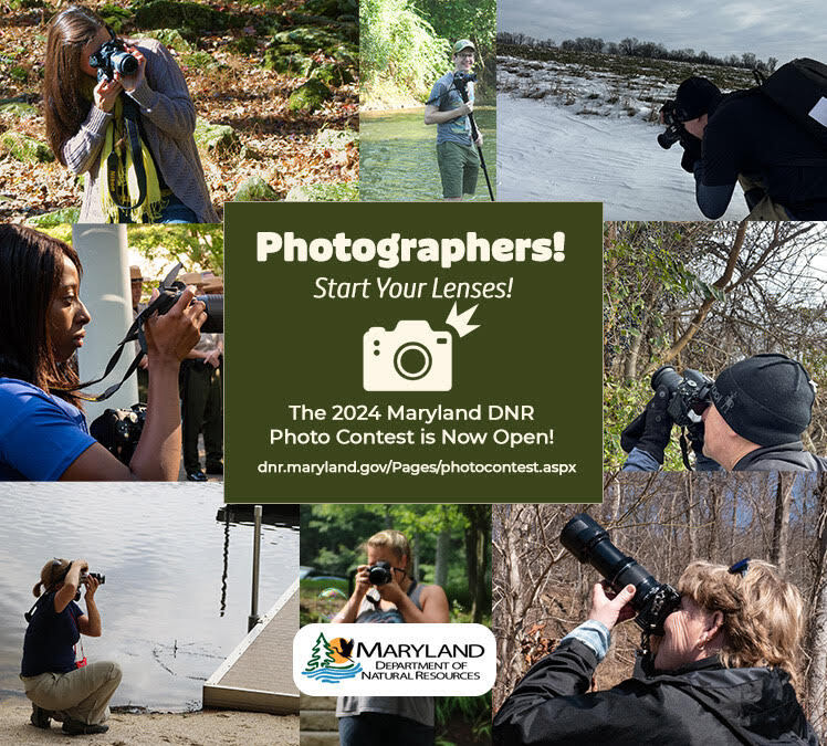 Maryland Natural Resource Photo Contest Open with Bigger Prizes!