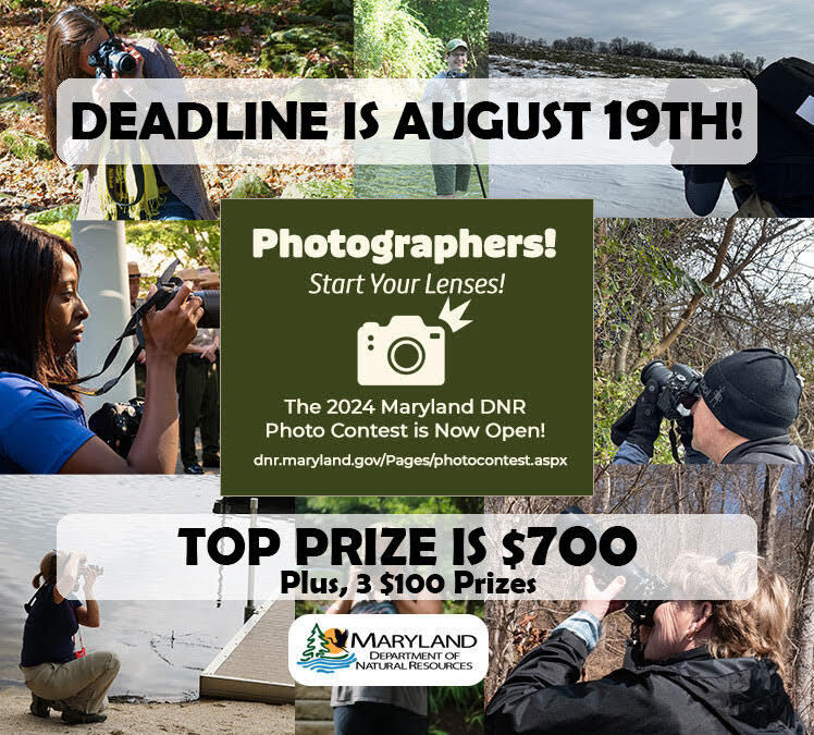 Graphic announcing Maryland DNR photo contest deadline is August 19