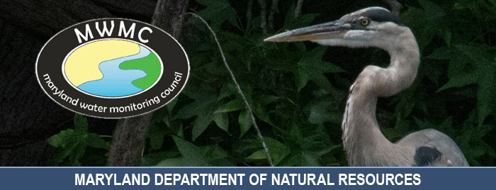 Photo of heron with MWMC logo