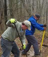 Volunteers Working